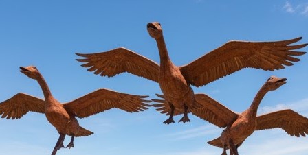 Activity Guide to North Dakota: